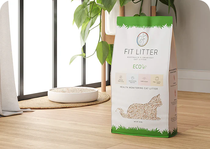 Experience the Ultimate Clean Home
